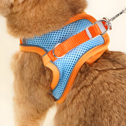 Reflective Dog Harness