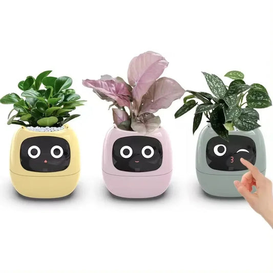 Schicker kleiner Blumentopf