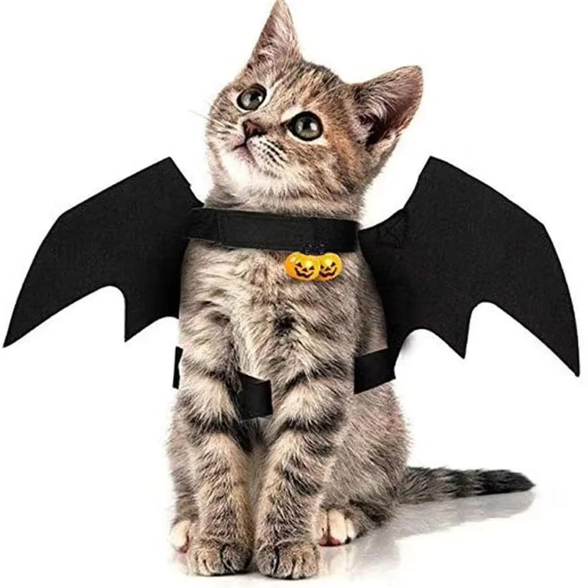 Pet Bat Wings