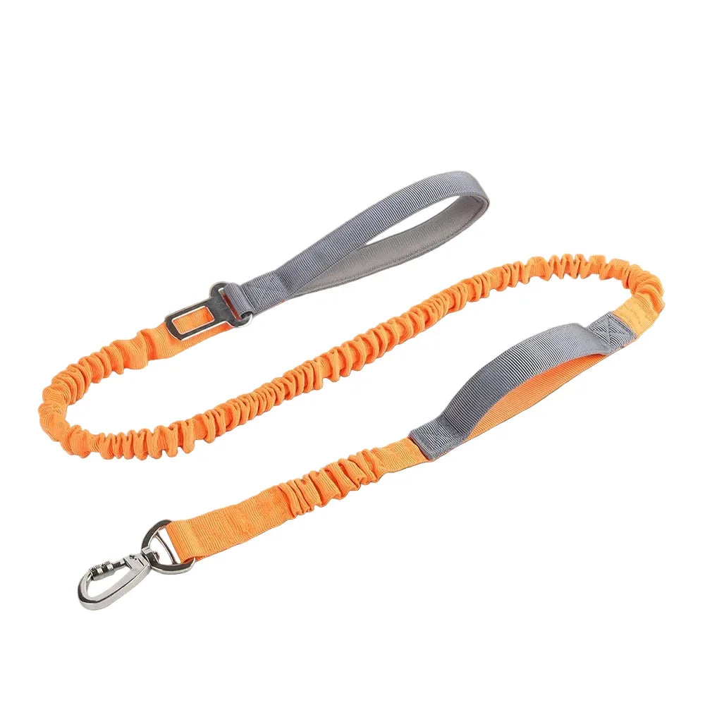 Reflective Anti-Burst Dog Leash For Outdoor Walks