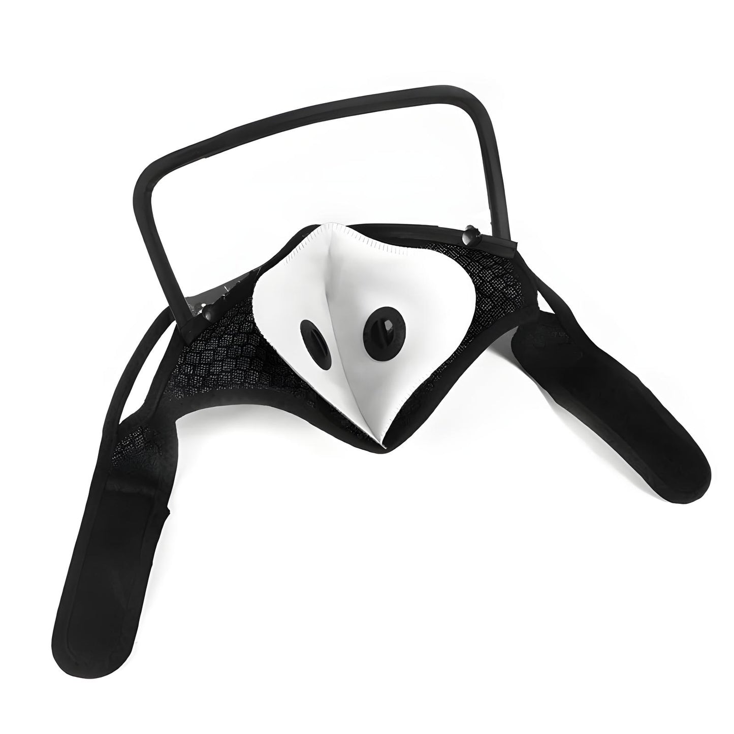 Face Mask with Goggles