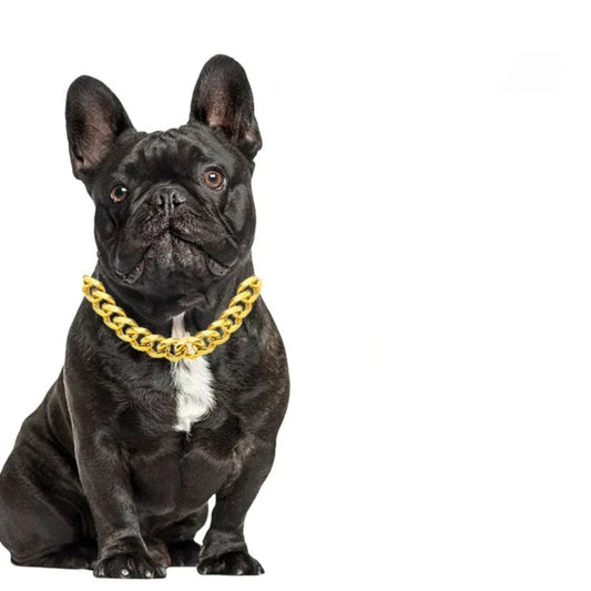 Small And Medium Dog Collar Pet Chain Necklace