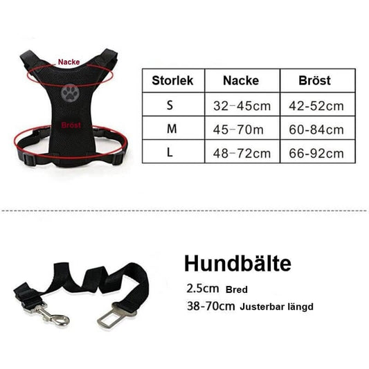 Autositz + Hundegeschirr