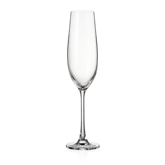 Bohemia Royal Crystal Verona champagneglas 260 ml – 6-pack