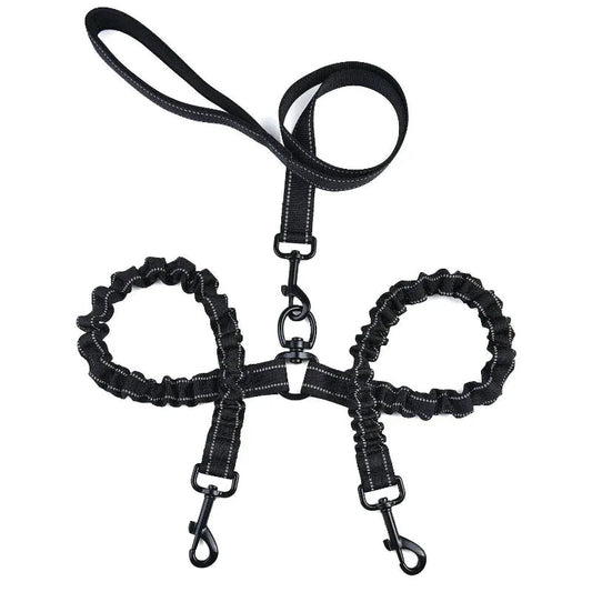 Double-Headed Pet Dog Leash