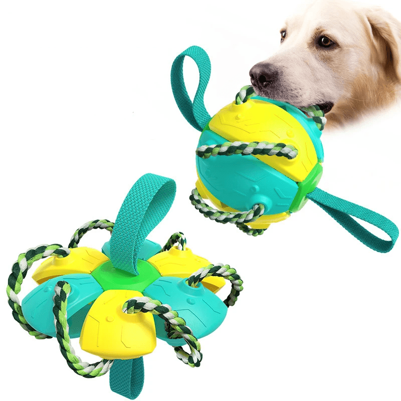 Frisbeeboll - Hundleksak