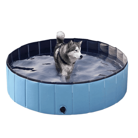 Hundepool Faltbarer Pop-up-Pool