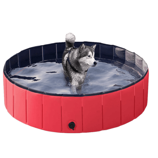 Hundepool Faltbarer Pop-up-Pool