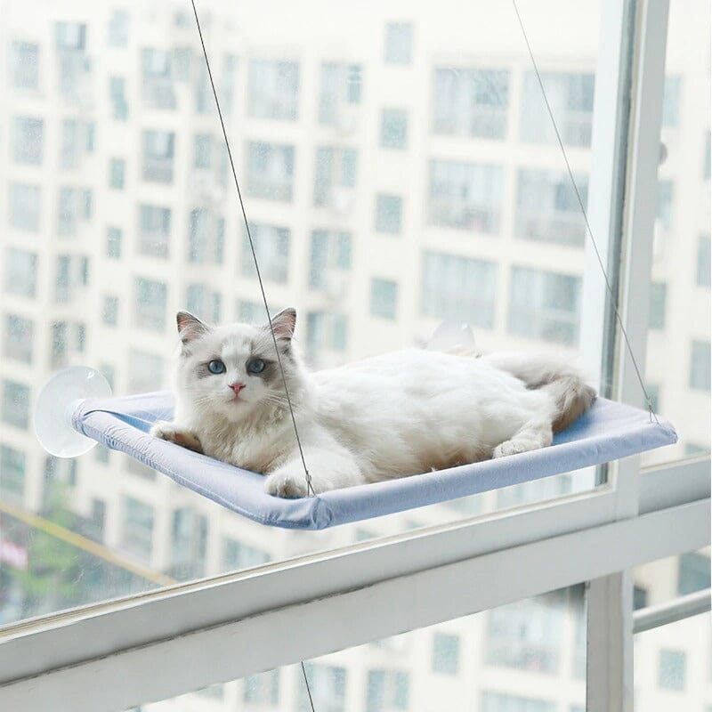 Kattfönstersängen