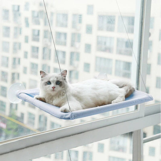 Kattfönstersängen