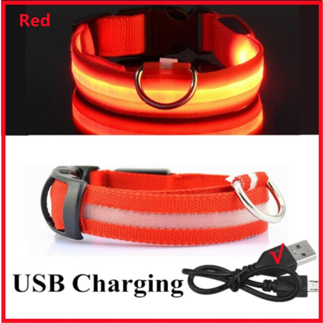 LED Hundhalsband