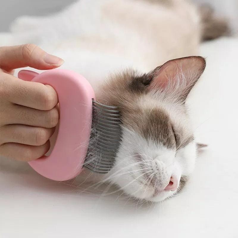 Massagekam för katter